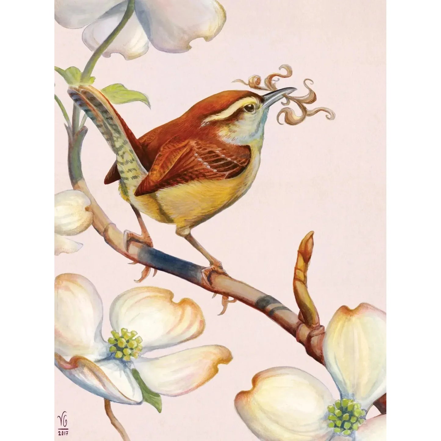 Carolina Wren 500 Piece Jigsaw Puzzle NYPC
