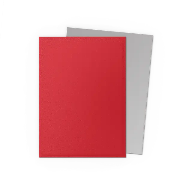 Dragon Shield: Crimson & Silver - Matte Dual Sleeves Moliner Games