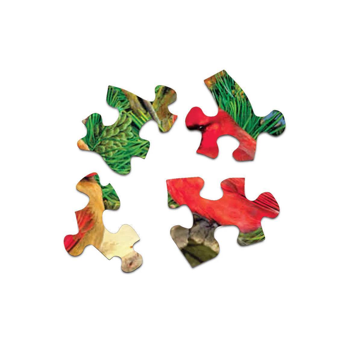 Feathered Retreat 1000 Piece Jigsaw Puzzle Springbok