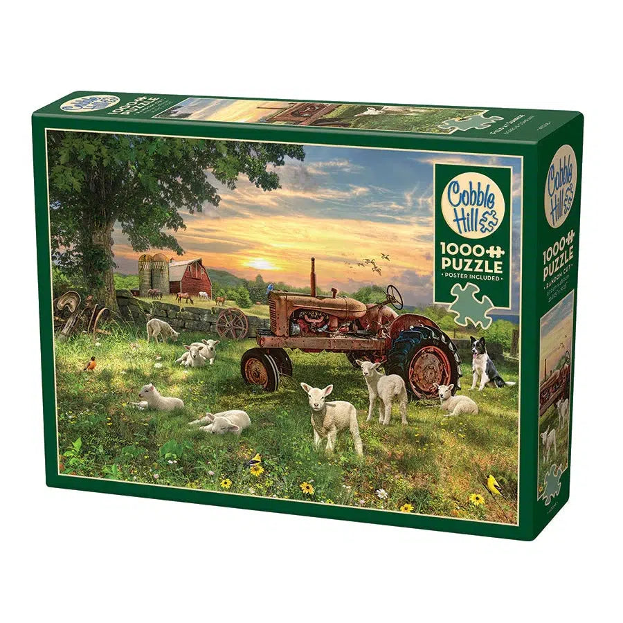 Field at Sunrise 1000 Piece Jigsaw Puzzle Cobble Hill Puzzle Merchant