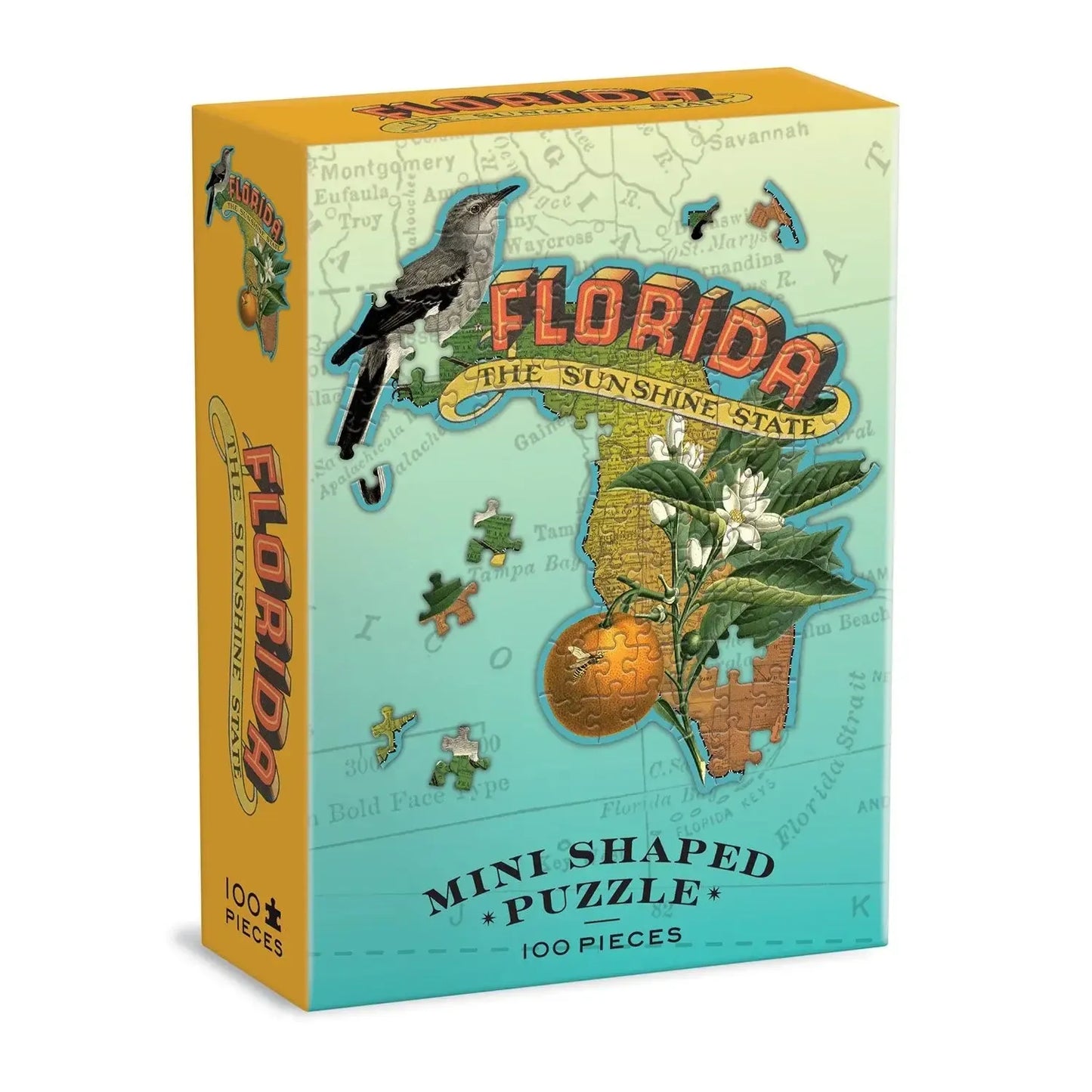 Florida 100 Piece Mini Shaped Jigsaw Puzzle Galison
