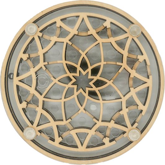 Flower Maze Puzzle Constantin