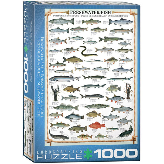 Freshwater Fish 1000 Piece Jigsaw Puzzle Eurographics Puzzle Merchant