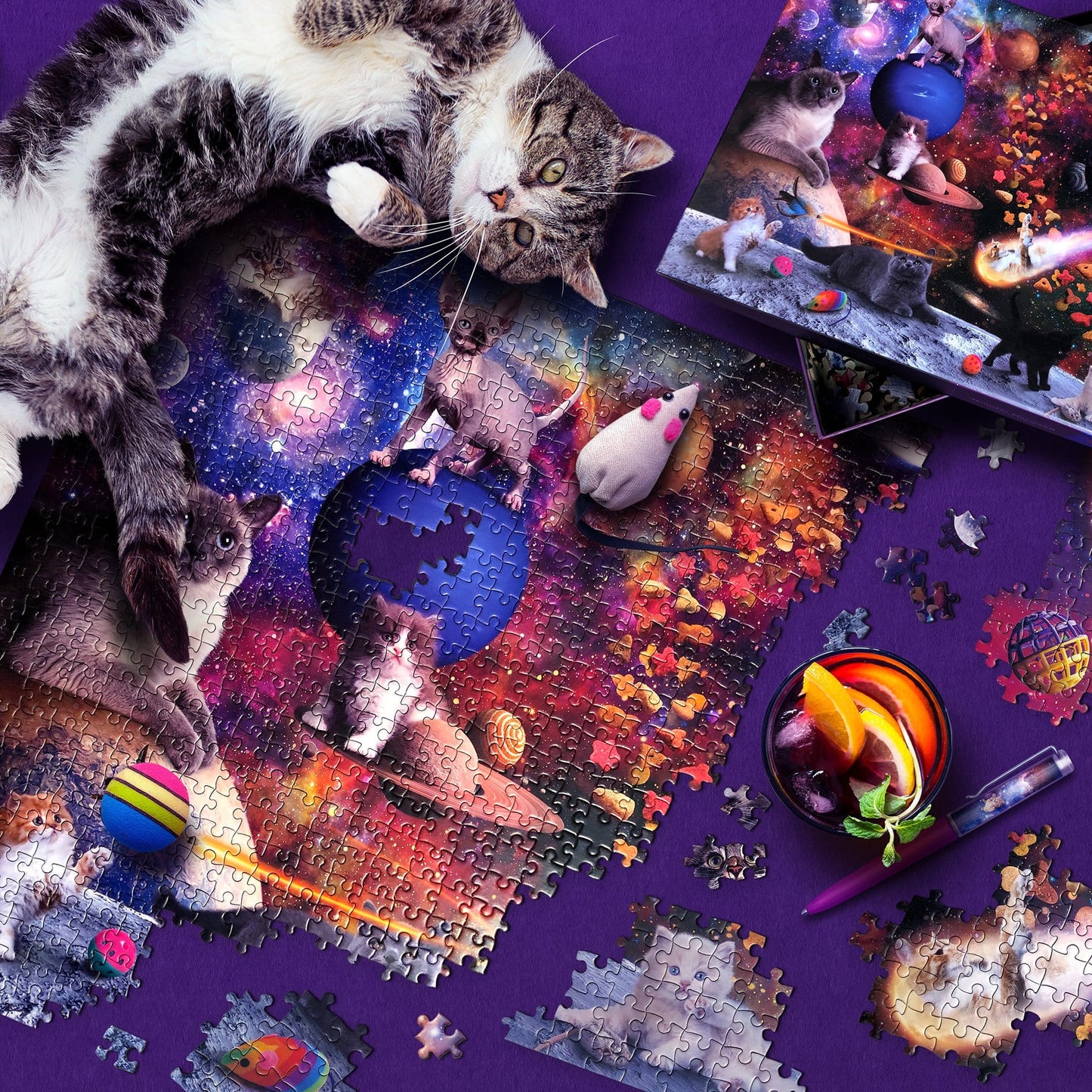 Galaxy Cats 1000 Piece Jigsaw Puzzle Fred