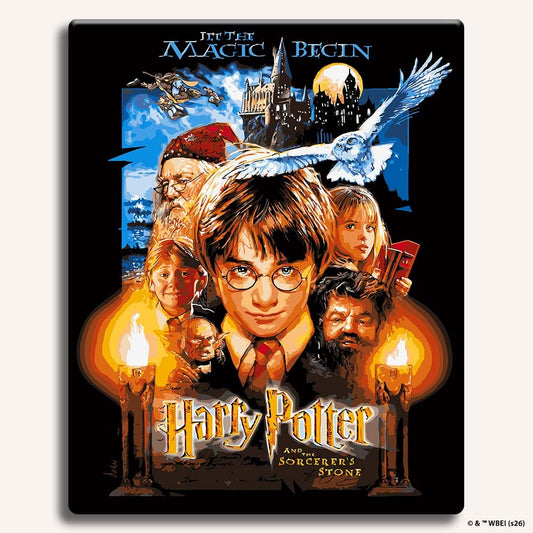 Harry Potter and the Sorcerer's Stone - Paint By Numbers Kit Without Frame Craft Hub