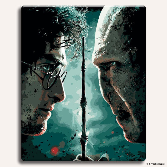Harry vs Voldemort - Paint By Numbers Kit Without Frame Craft Hub