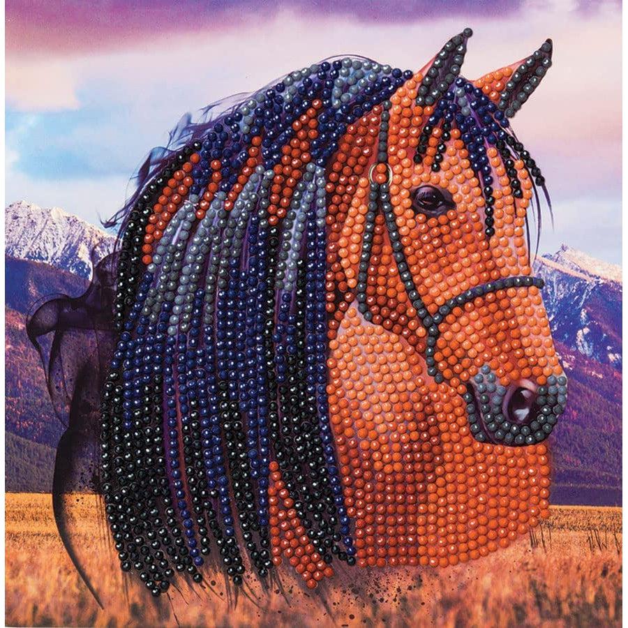 Horse Crystal Art Card Kit Craft Buddy Puzzle Merchant