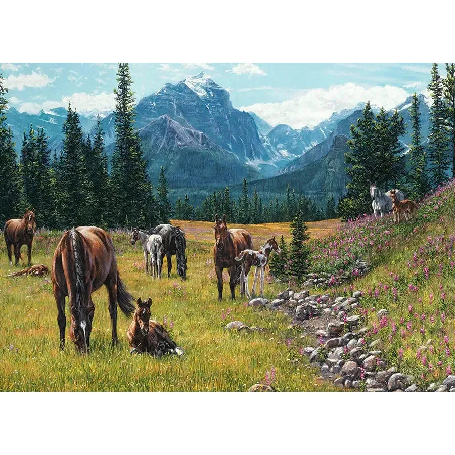 Horse Meadow 1000 Piece Jigsaw Puzzle Cobble Hill