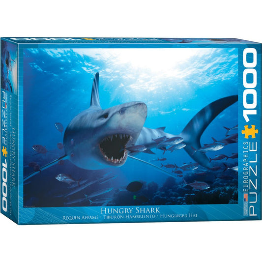 Hungry Shark 1000 Piece Jigsaw Puzzle Eurographics Puzzle Merchant