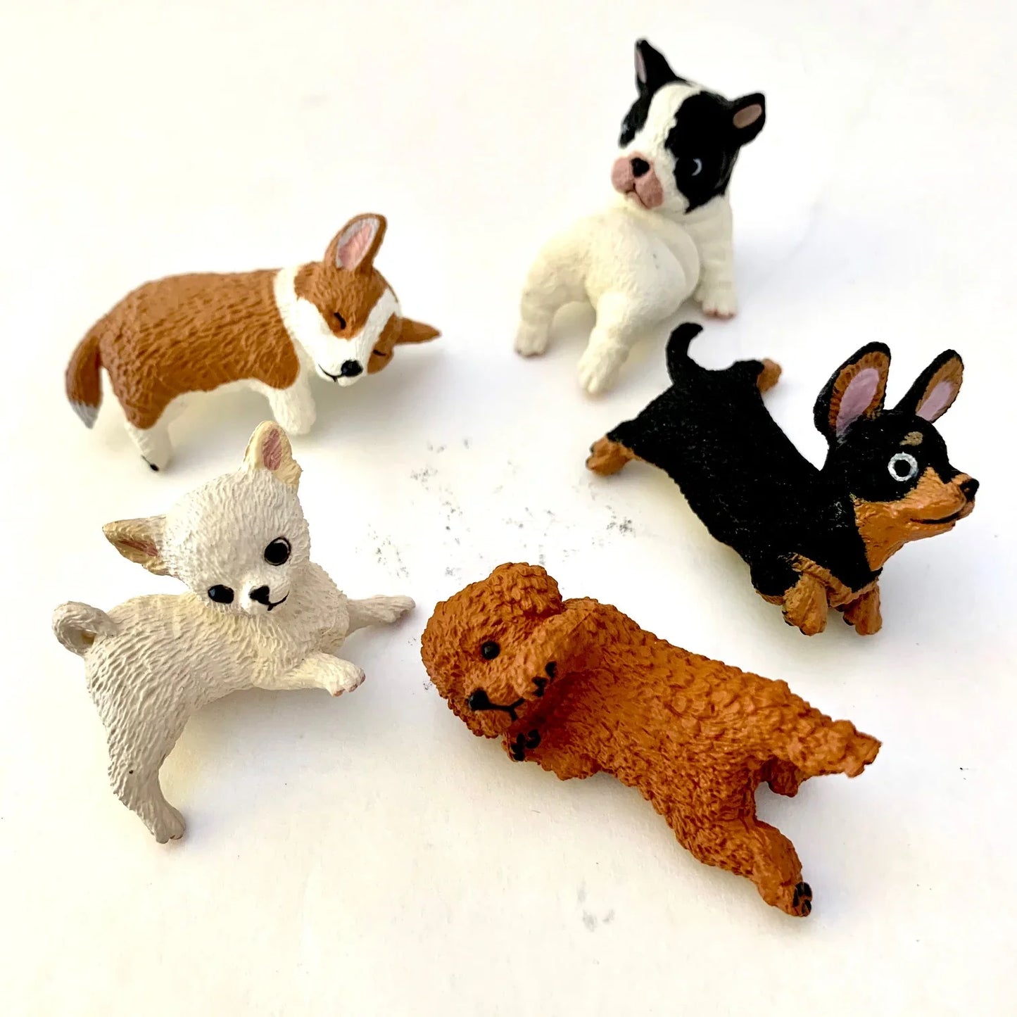 Fufuchi Resting Dogs Blind Box - Cute Collectible Hanging Dog Figures Super Anime Store