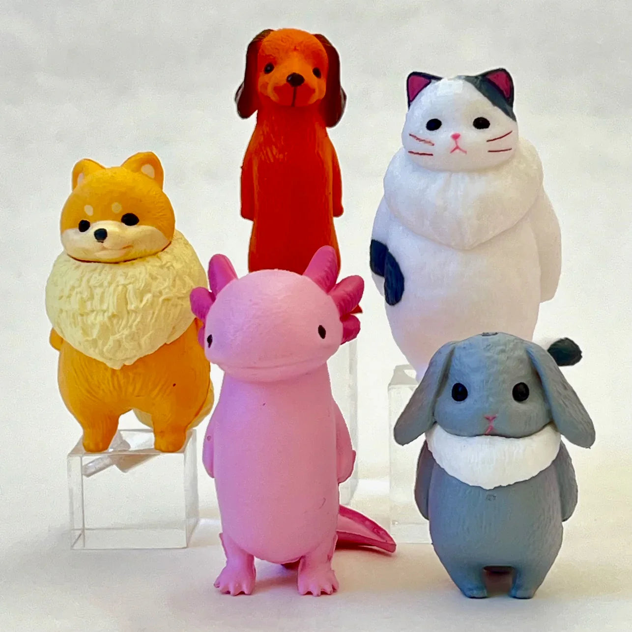Kyomu Void Animals Blind Box (1 Blind Box) Super Anime Store