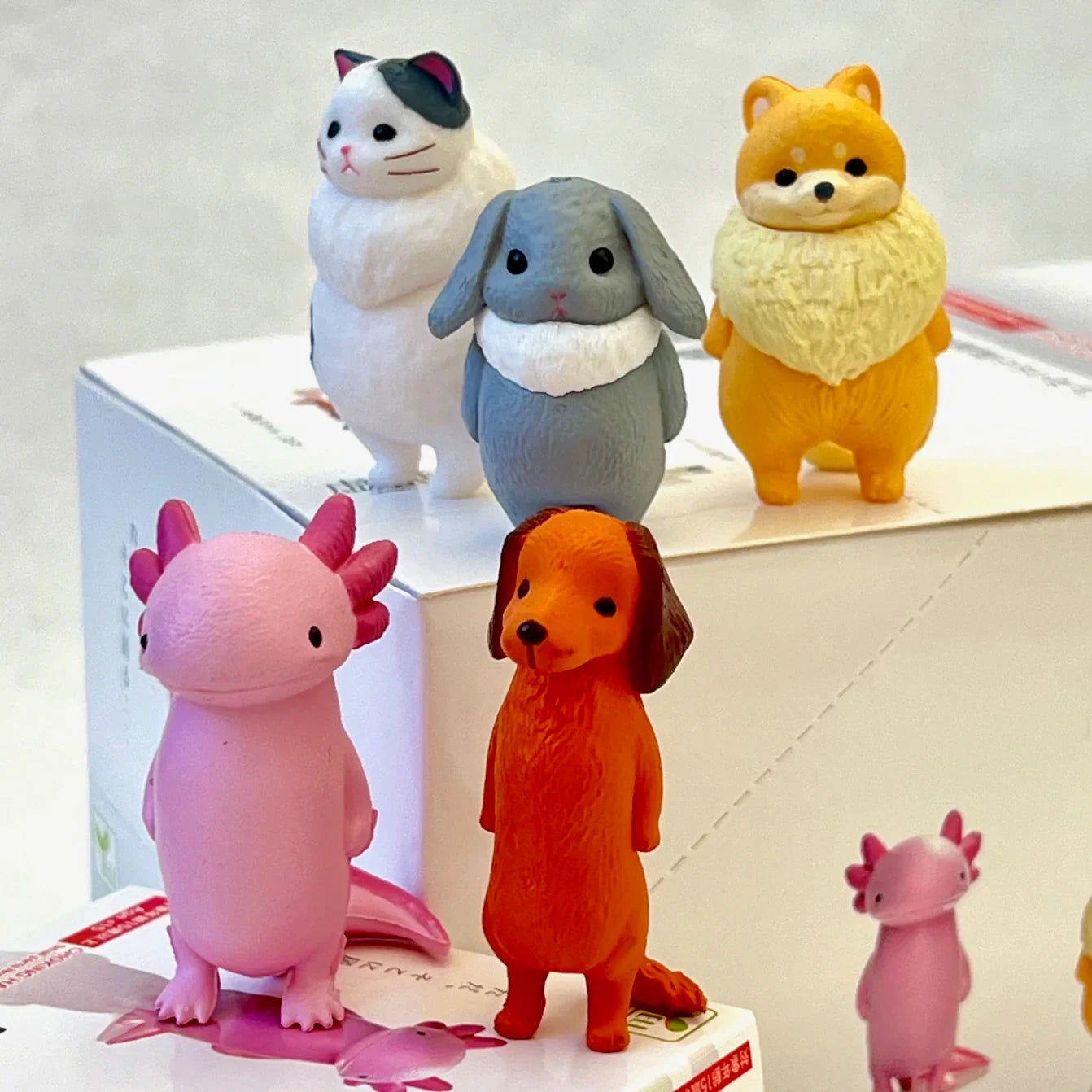 Kyomu Void Animals Blind Box (1 Blind Box) Super Anime Store