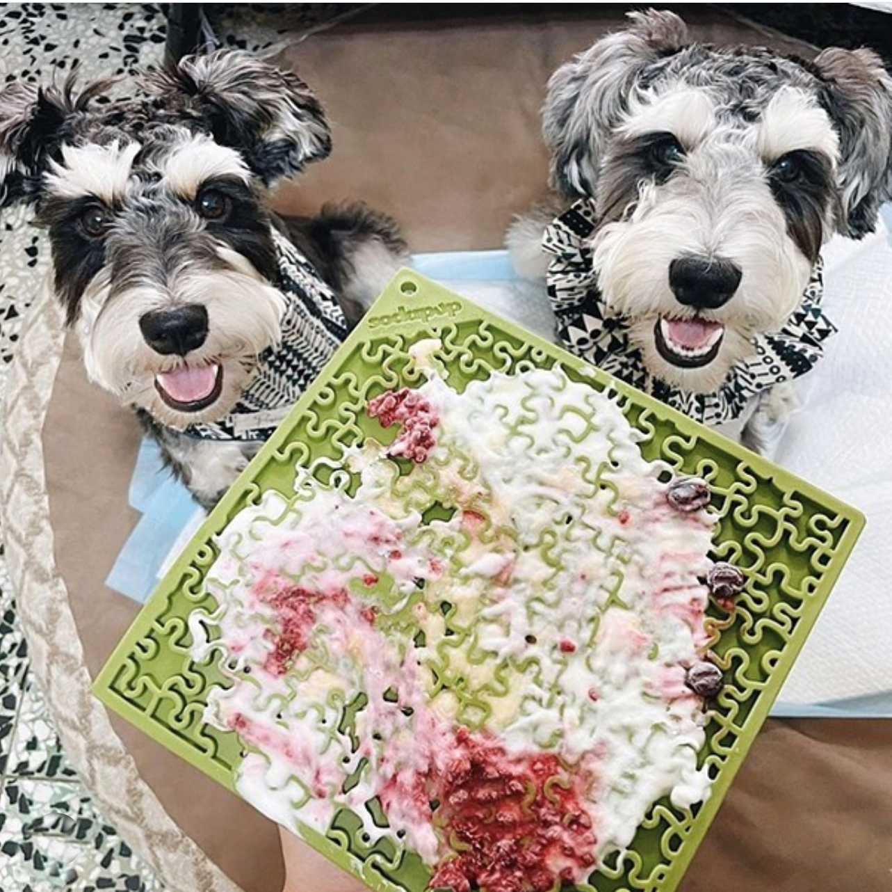 Jigsaw Puzzle eMat - Enrichment Lick Mat for Dogs and Cats | eMat Enrichment Toy for Anxiety Relief | USA Made SodaPup/True Dogs, LLC