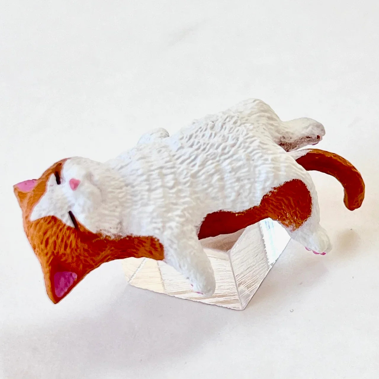 Resting Cats Blind Box (1 Blind Box) Super Anime Store