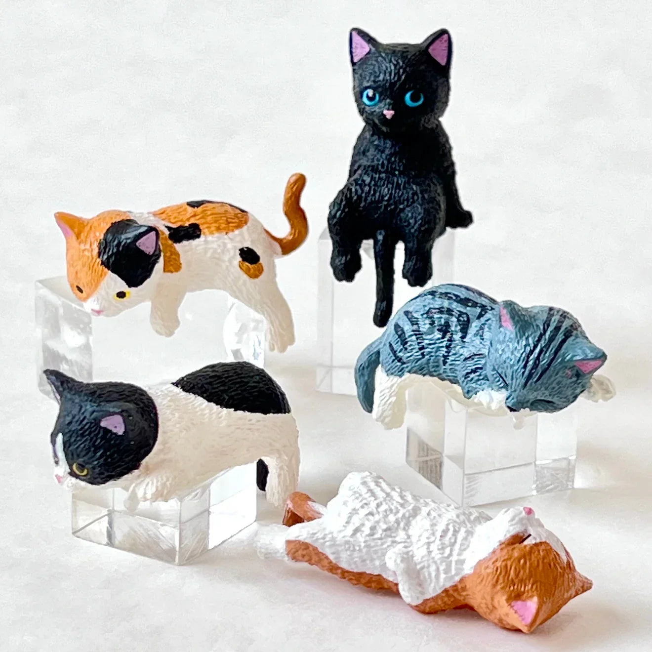 Resting Cats Blind Box (1 Blind Box) Super Anime Store