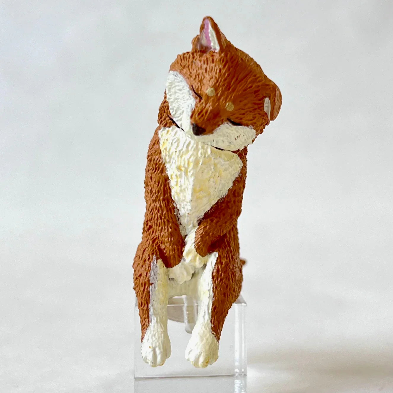 Sleepy Animals Figurine Blind Box - Cute Collectible Capsule Toy Super Anime Store