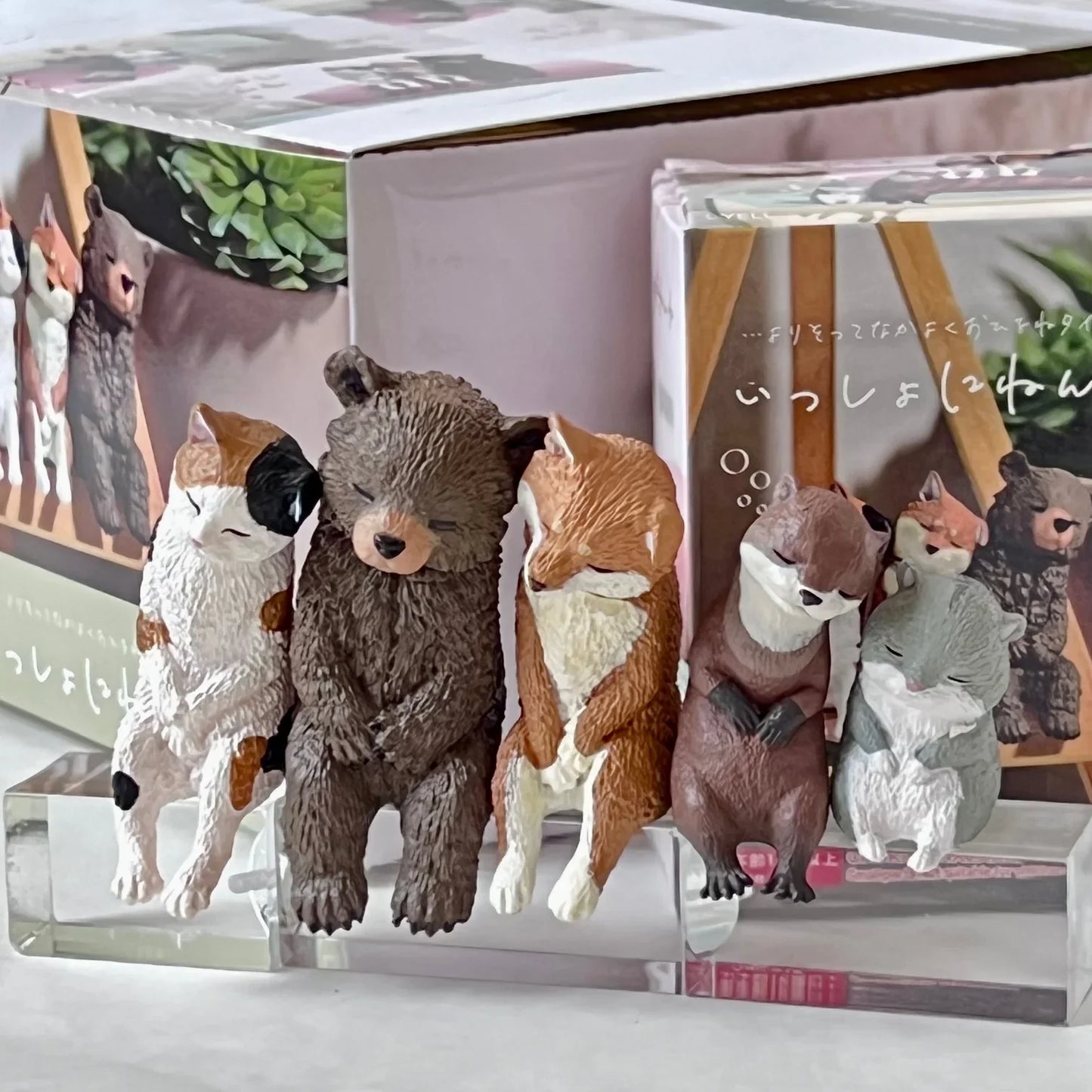 Sleepy Animals Figurine Blind Box - Cute Collectible Capsule Toy Super Anime Store