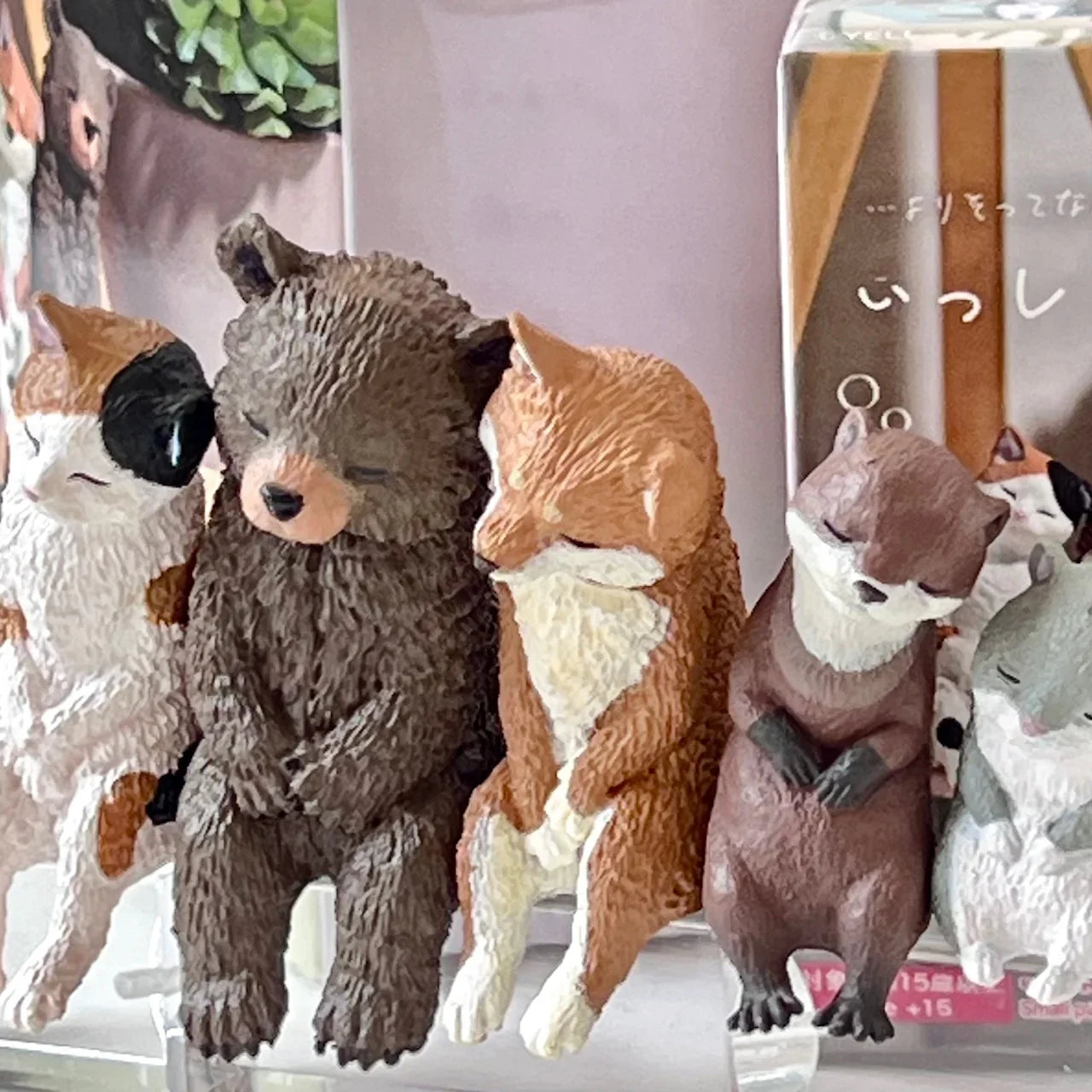 Sleepy Animals Figurine Blind Box - Cute Collectible Capsule Toy Super Anime Store