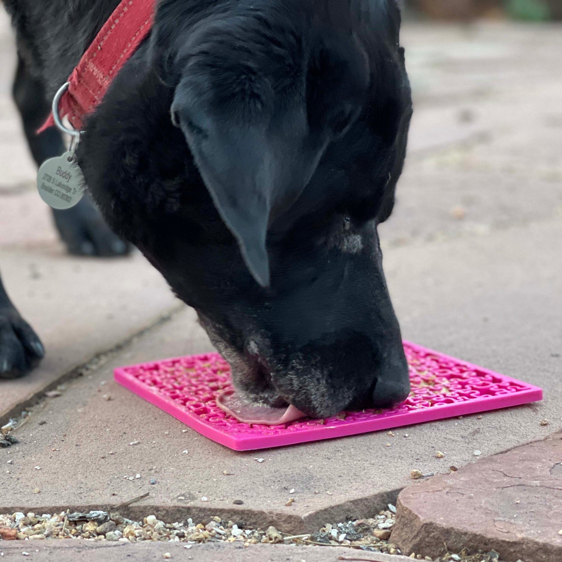 Jigsaw Puzzle eMat - Enrichment Lick Mat for Dogs and Cats | eMat Enrichment Toy for Anxiety Relief | USA Made SodaPup/True Dogs, LLC