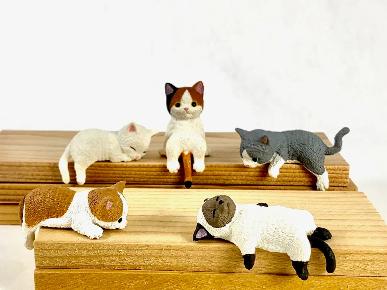 Resting Cats - Blind Box (1 Blind Box) Super Anime Store