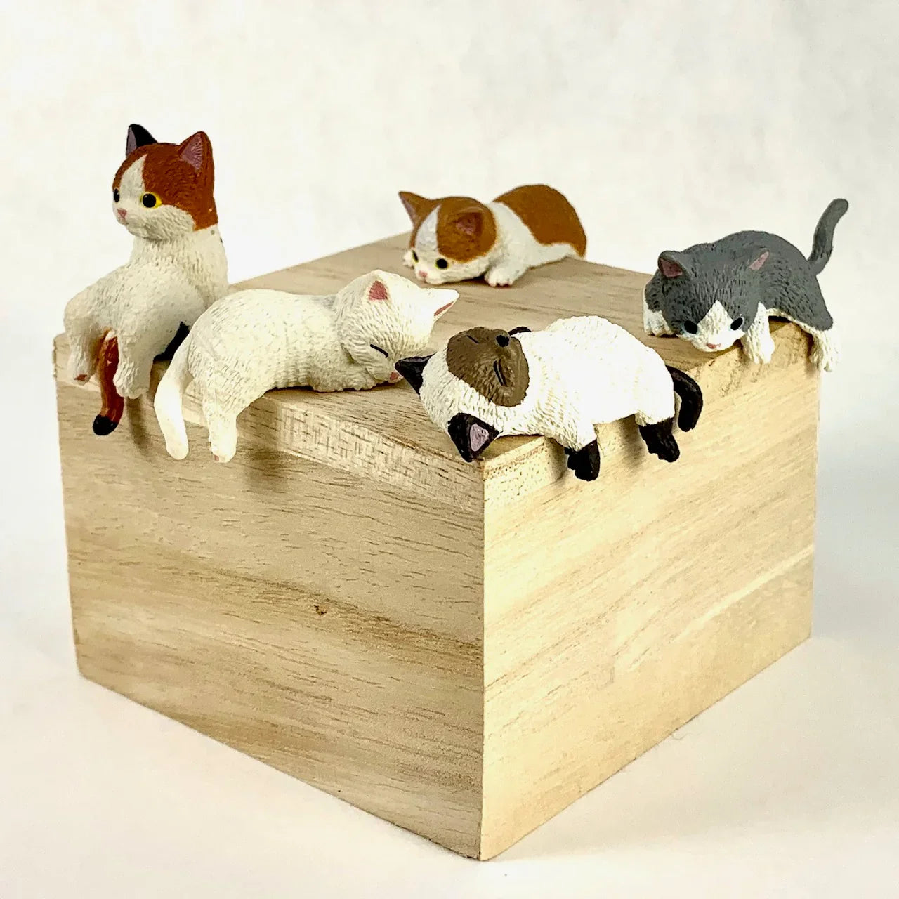Resting Cats - Blind Box (1 Blind Box) Super Anime Store