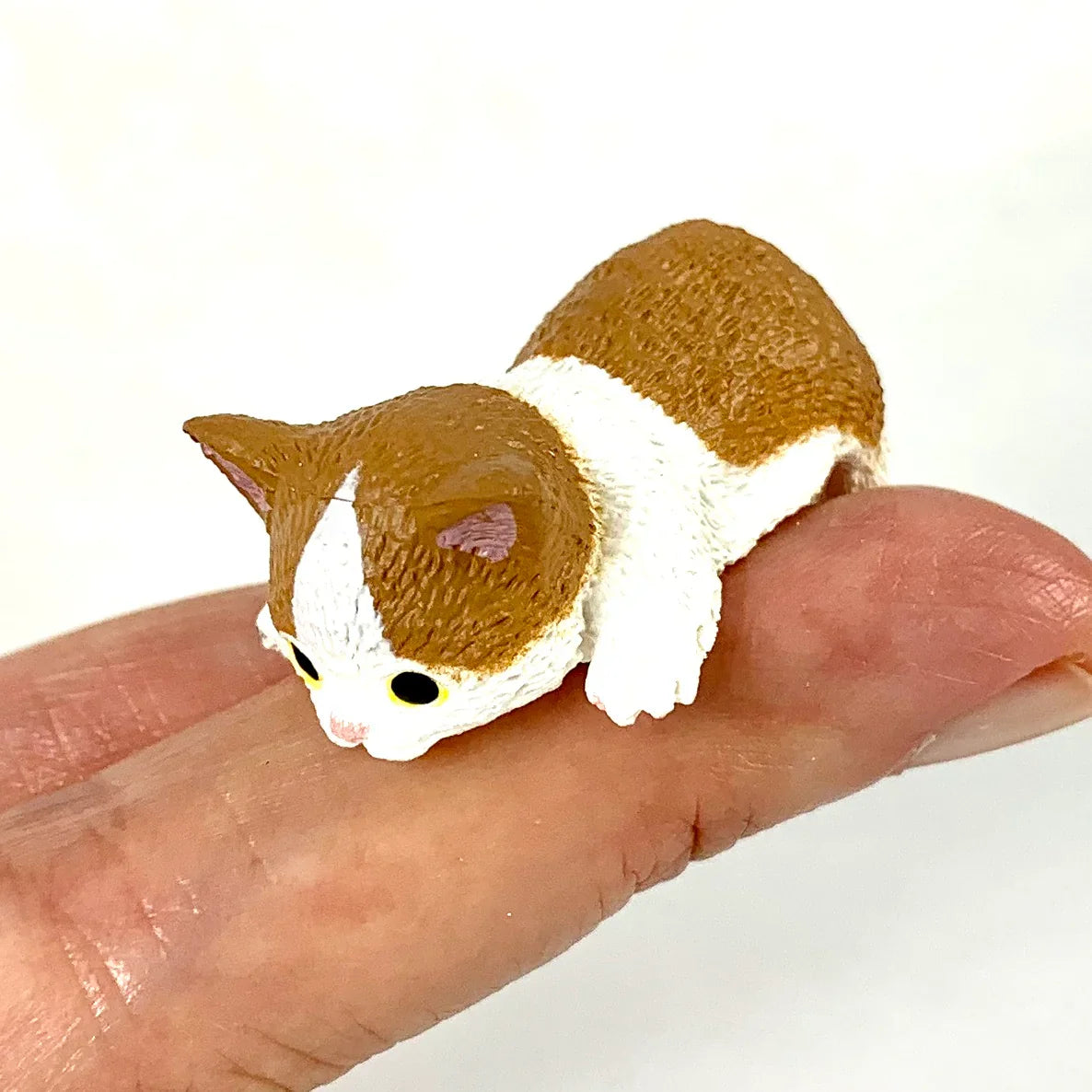 Resting Cats - Blind Box (1 Blind Box) Super Anime Store