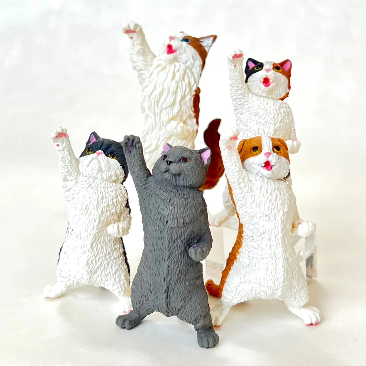 NYAOOO! POWER CATS BLIND BOX (1 Blind Box) Super Anime Store