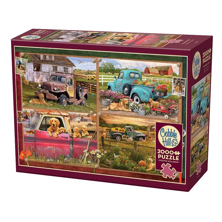 It's a Dog's Life 2000 Piece Jigsaw Puzzle Cobble Hill Puzzle Merchant