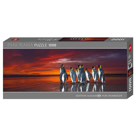 King Penguins 1000 Piece Panoramic Jigsaw Puzzle Heye Puzzle Merchant