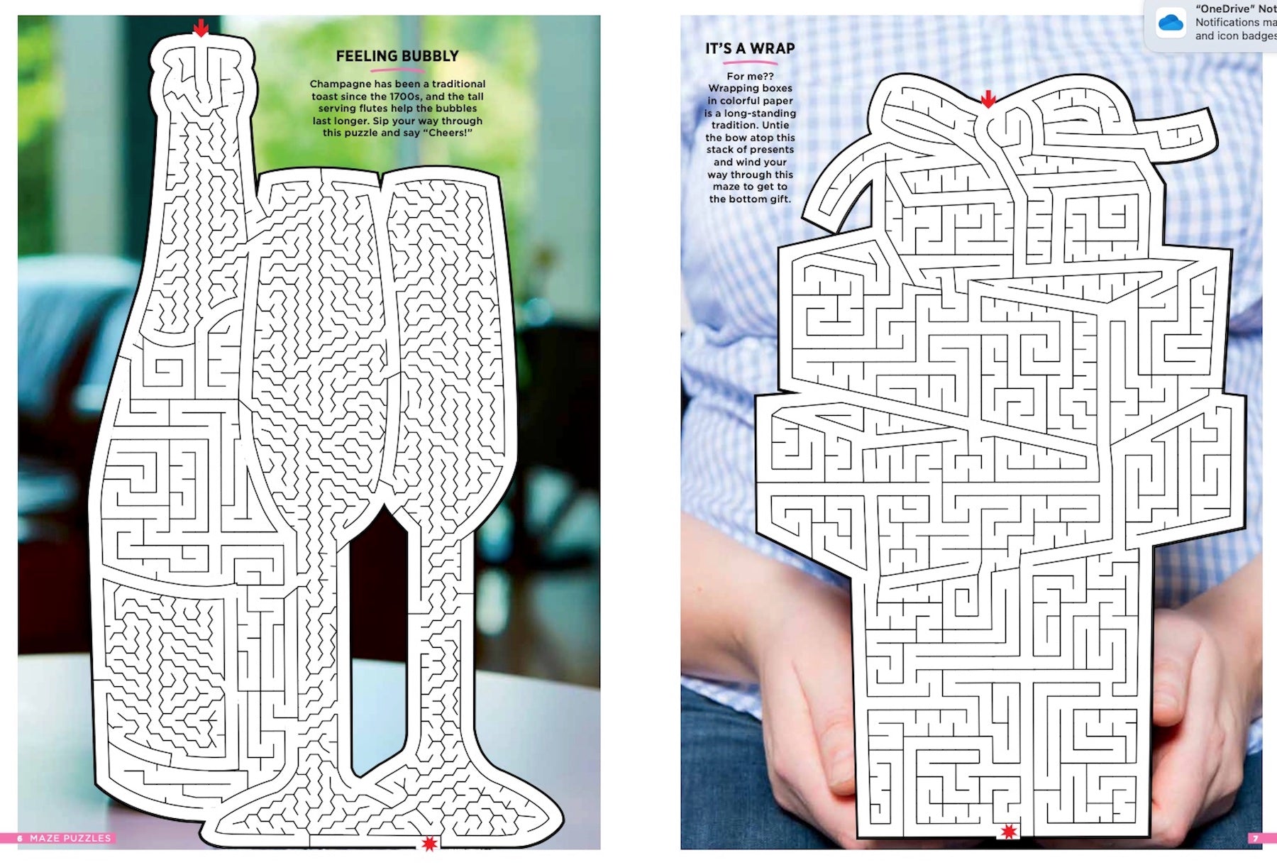 Best Of Brain Fun - Mazes: 48 Puzzles for All Skill Levels with 6 Sections of Fun! Challenge Readers and Elevates the "Maze Craze" to a Whole New Level with Real Life Images! Magazine Shop US