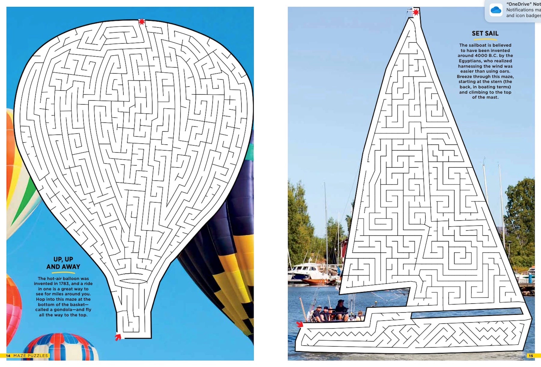 Best Of Brain Fun - Mazes: 48 Puzzles for All Skill Levels with 6 Sections of Fun! Challenge Readers and Elevates the "Maze Craze" to a Whole New Level with Real Life Images! Magazine Shop US