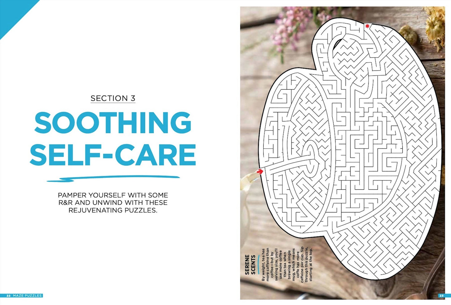 Brain Fun - Mazes: 48 Puzzles For All Skill Levels, Six Sections: Colorful Creatures, Tasty Treats, Soothing Sights, Cruise Control, Great Escapes, Magic Media Magazine Shop US
