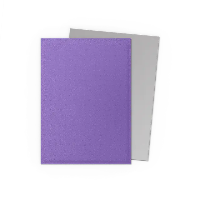 Dragon Shield: Nebula & Silver Dual Matte Sleeves (100) Moliner Games