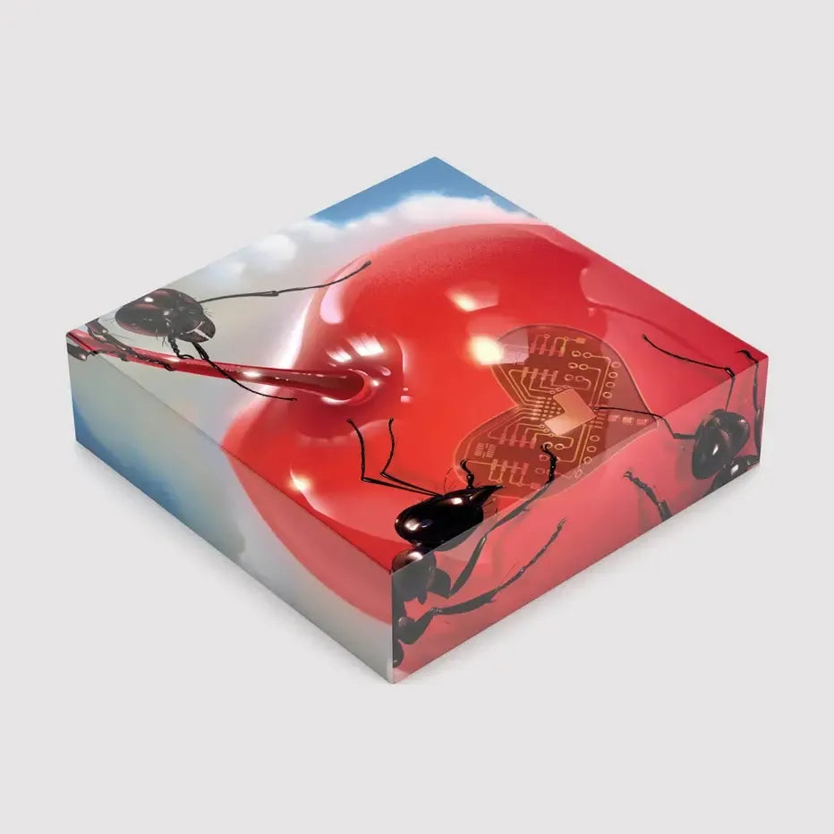 Obsession By Jiayi 1000 Piece Limited Edition Jigsaw Puzzle Sulo