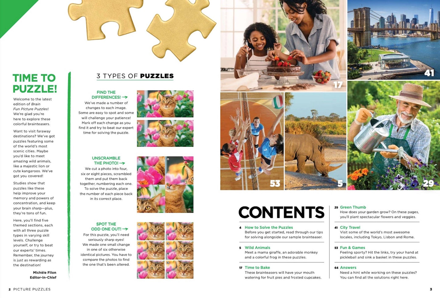 Brain Fun - Picture Puzzle: Spot the Difference! Can You Find All 289 Differences? Five Categories Cute Critters, Sweet Treats, Gorgeous Gardens, Amazing Places, Perfect Pastimes Magazine Shop US