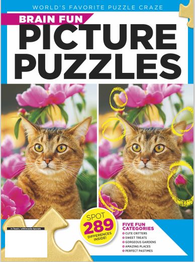 Brain Fun - Picture Puzzle: Spot the Difference! Can You Find All 289 Differences? Five Categories Cute Critters, Sweet Treats, Gorgeous Gardens, Amazing Places, Perfect Pastimes Magazine Shop US