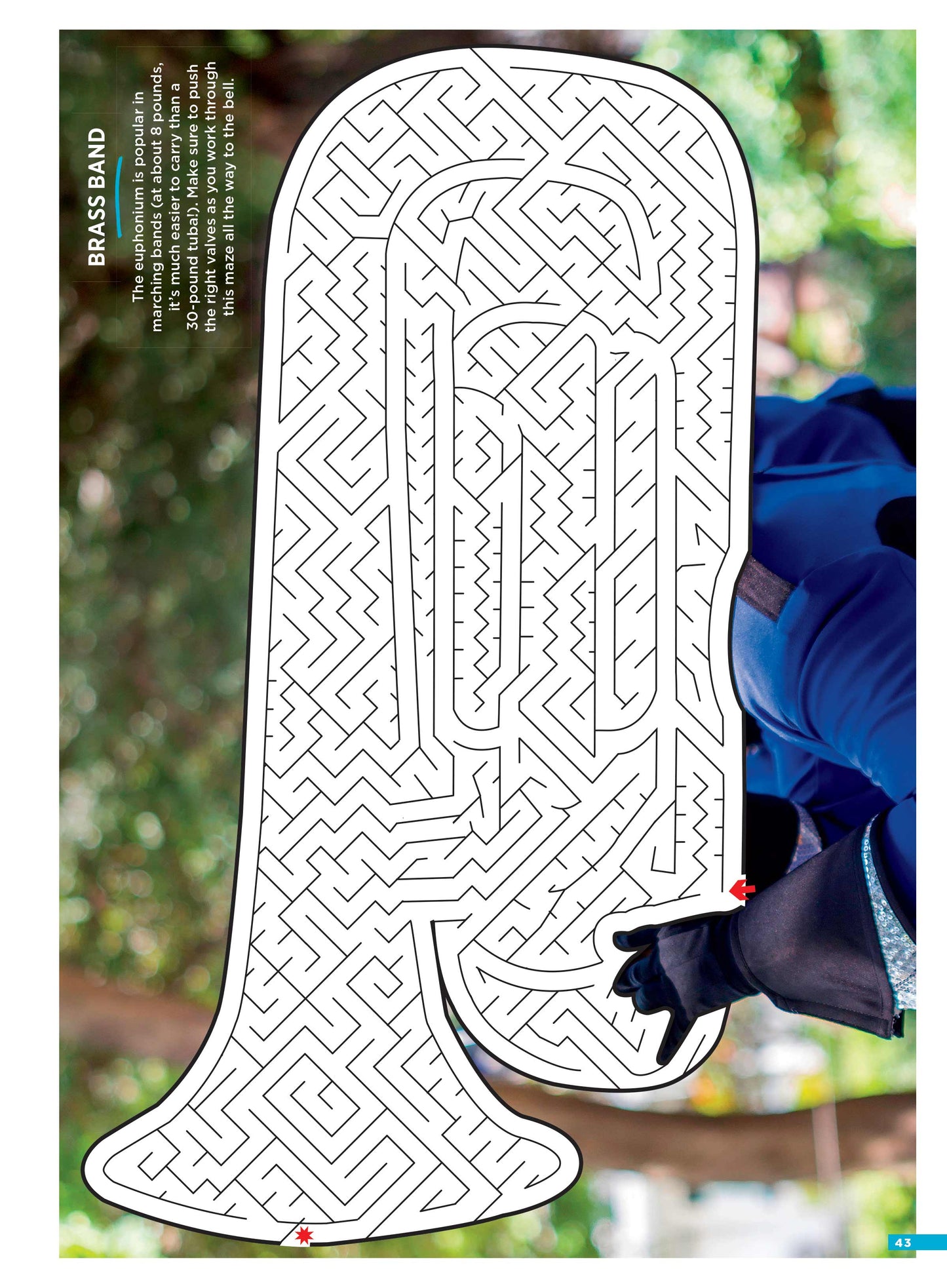 Brain Fun - Mazes: 48 Puzzles For All Skill Levels, Six Sections: Colorful Creatures, Tasty Treats, Soothing Sights, Cruise Control, Great Escapes, Magic Media Magazine Shop US