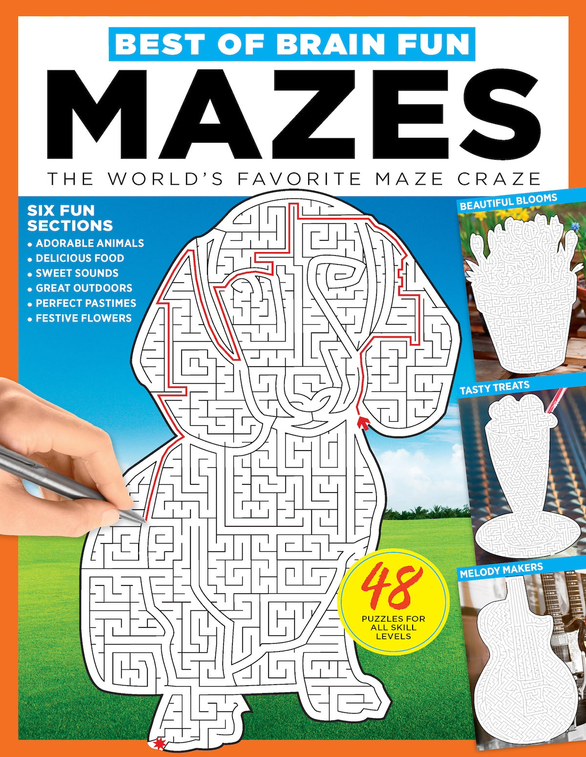 Brain Fun - Mazes: 48 Puzzles For All Skill Levels, Six Sections: Colorful Creatures, Tasty Treats, Soothing Sights, Cruise Control, Great Escapes, Magic Media Magazine Shop US