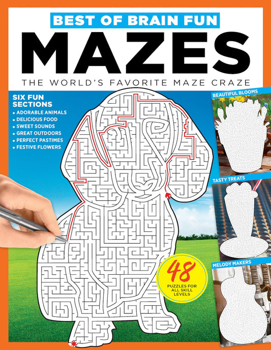 Brain Fun - Mazes: 48 Puzzles For All Skill Levels, Six Sections: Colorful Creatures, Tasty Treats, Soothing Sights, Cruise Control, Great Escapes, Magic Media Magazine Shop US