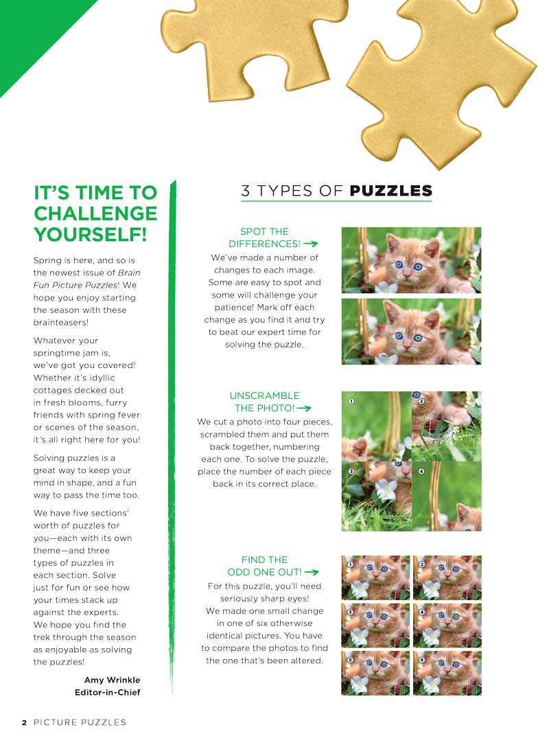Brain Fun - Picture Puzzles: Spot 261 Differences, Spring Gardens, Pastimes, Cute Animals, Scenery, Shops, Markets, Plus Taylor Swift Easter Egg Hunt, Brain Challenge, Unwind, Unplug, Relax & Solve! Magazine Shop US