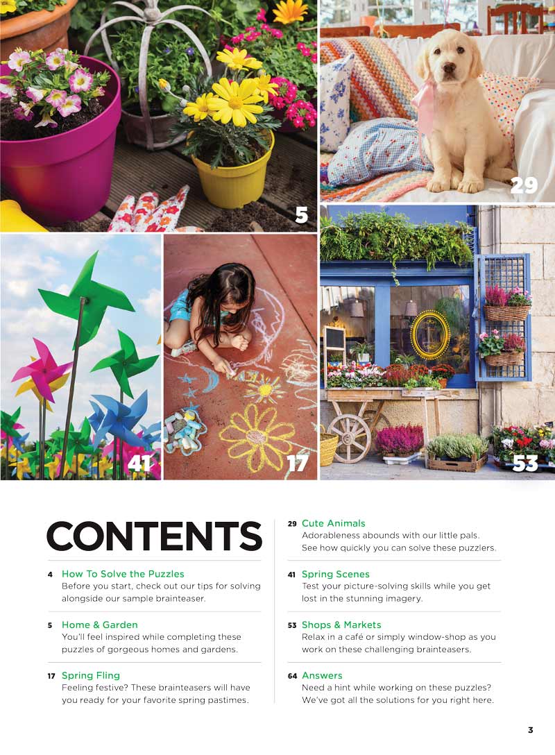 Brain Fun - Picture Puzzles: Spot 261 Differences, Spring Gardens, Pastimes, Cute Animals, Scenery, Shops, Markets, Plus Taylor Swift Easter Egg Hunt, Brain Challenge, Unwind, Unplug, Relax & Solve! Magazine Shop US