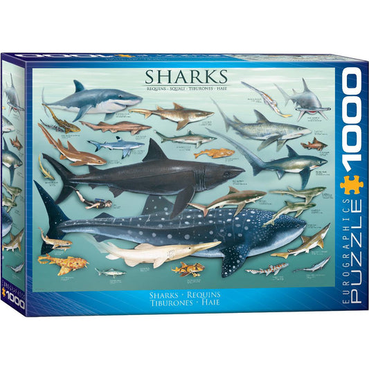 Sharks 1000 Piece Jigsaw Puzzle Eurographics Puzzle Merchant