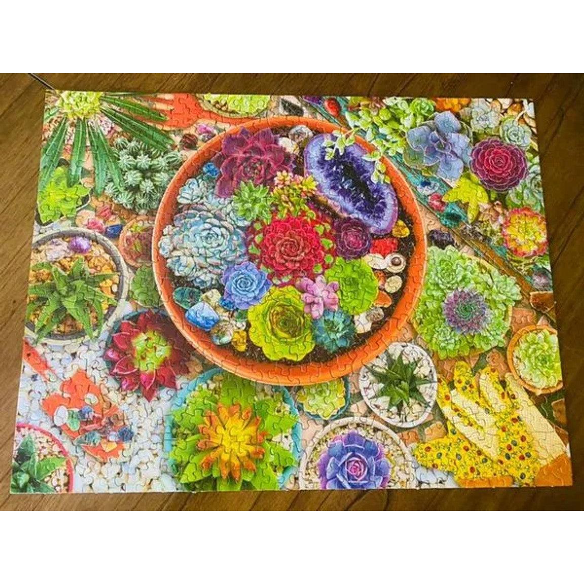 Succulent Garden 500 Piece Jigsaw Puzzle Springbok