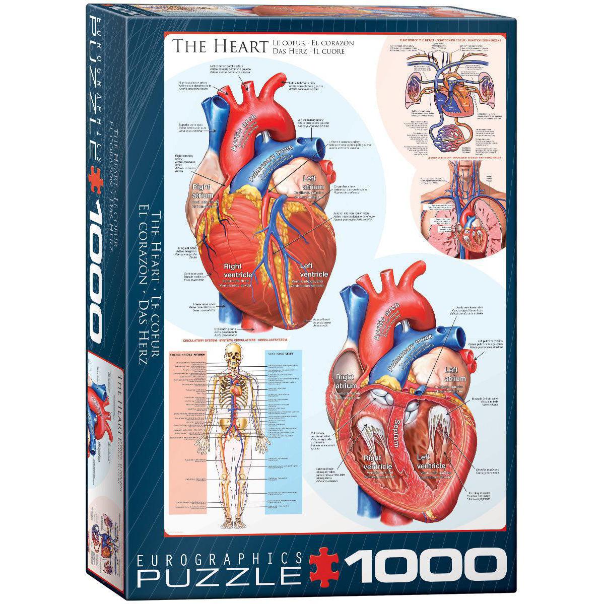 The Heart 1000 Piece Jigsaw Puzzle Eurographics