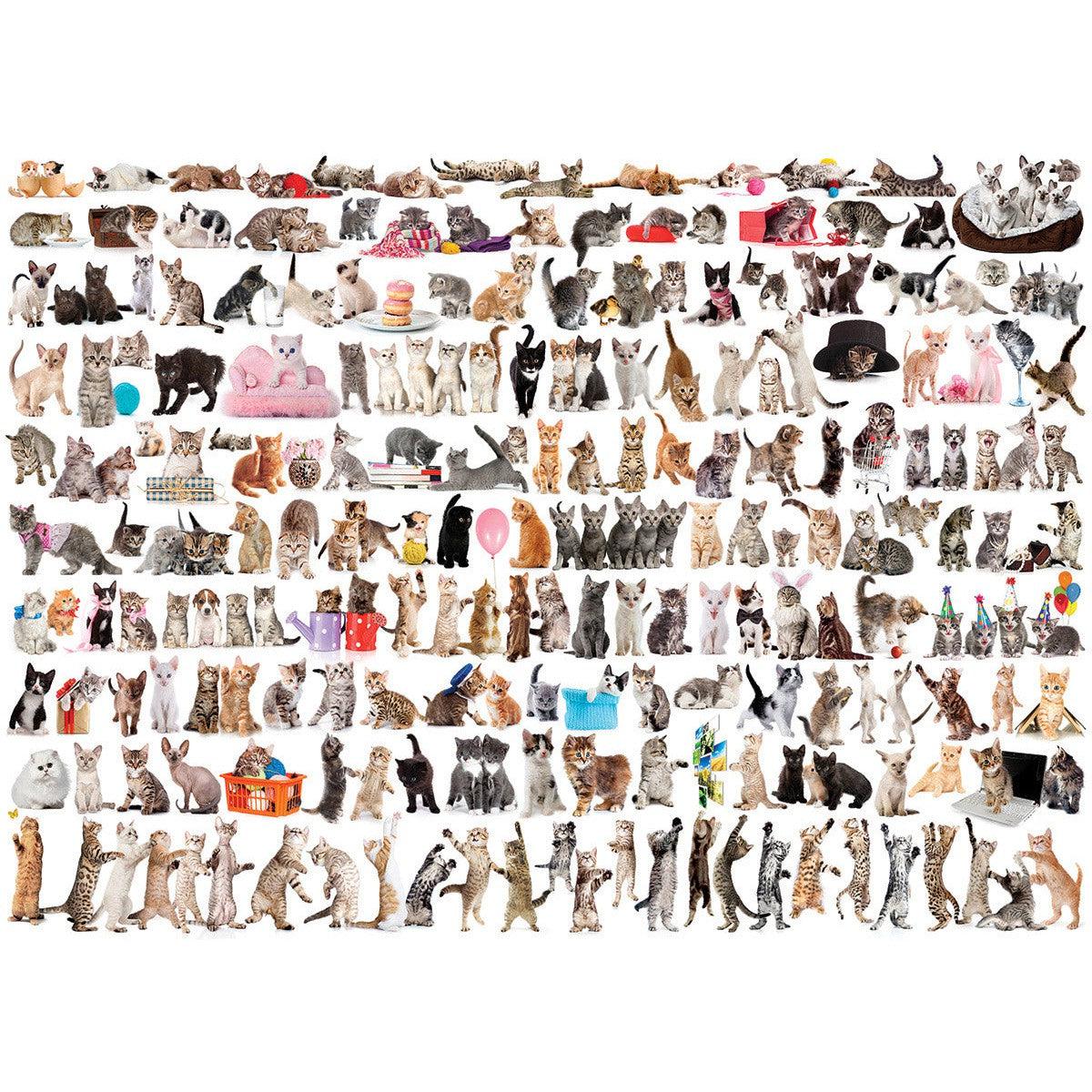 The World of Cats 1000 Piece Jigsaw Puzzle Eurographics
