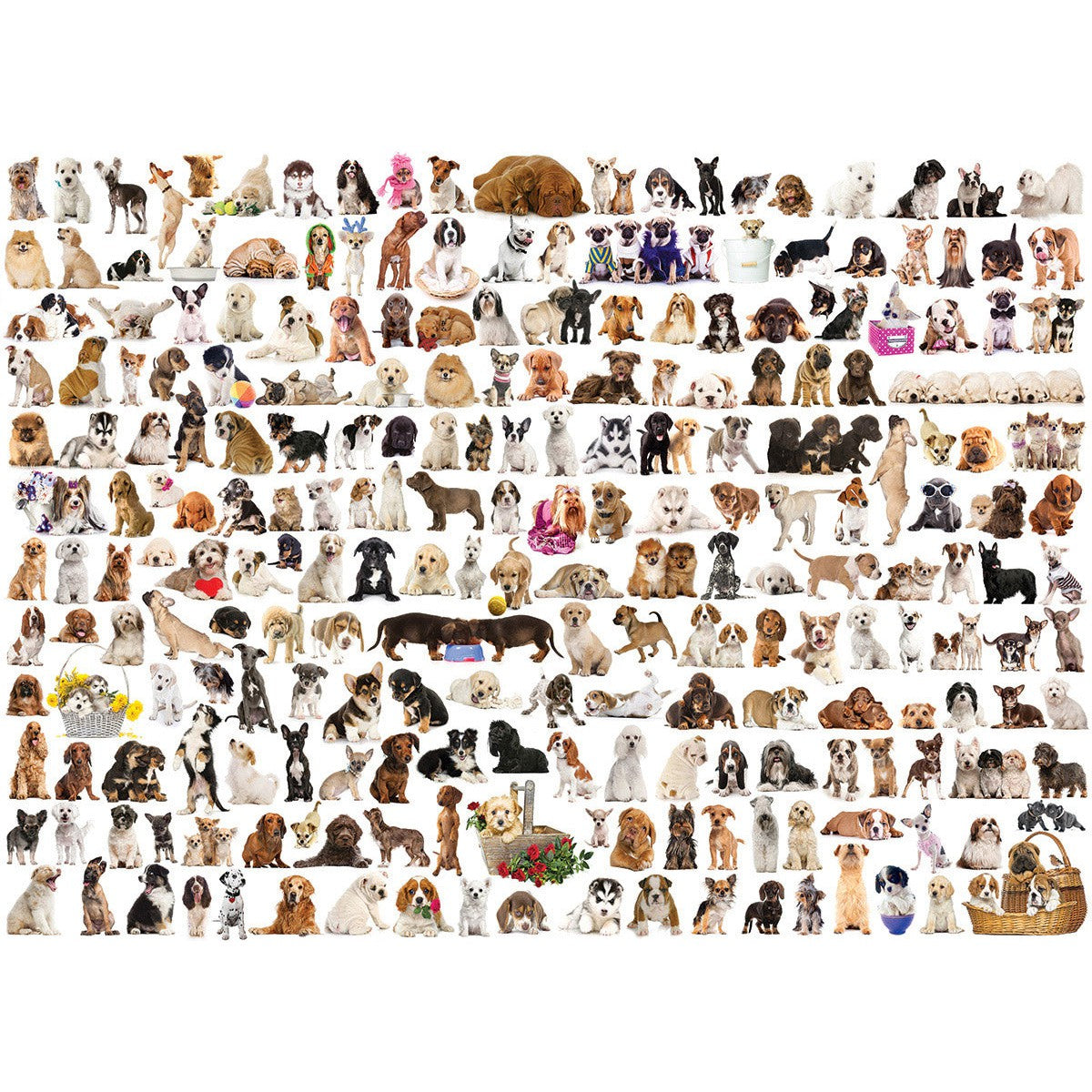 The World of Dogs 1000 Piece Jigsaw Puzzle Eurographics