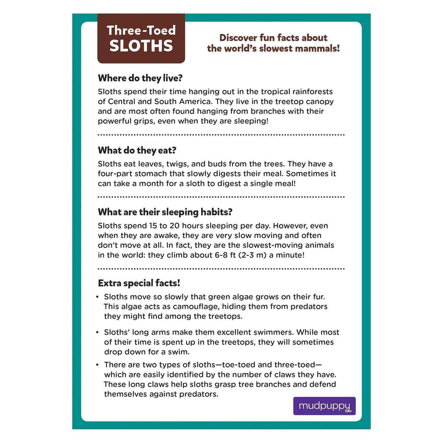 Three-Toed Sloth 48 Piece Mini Jigsaw Puzzle Mudpuppy