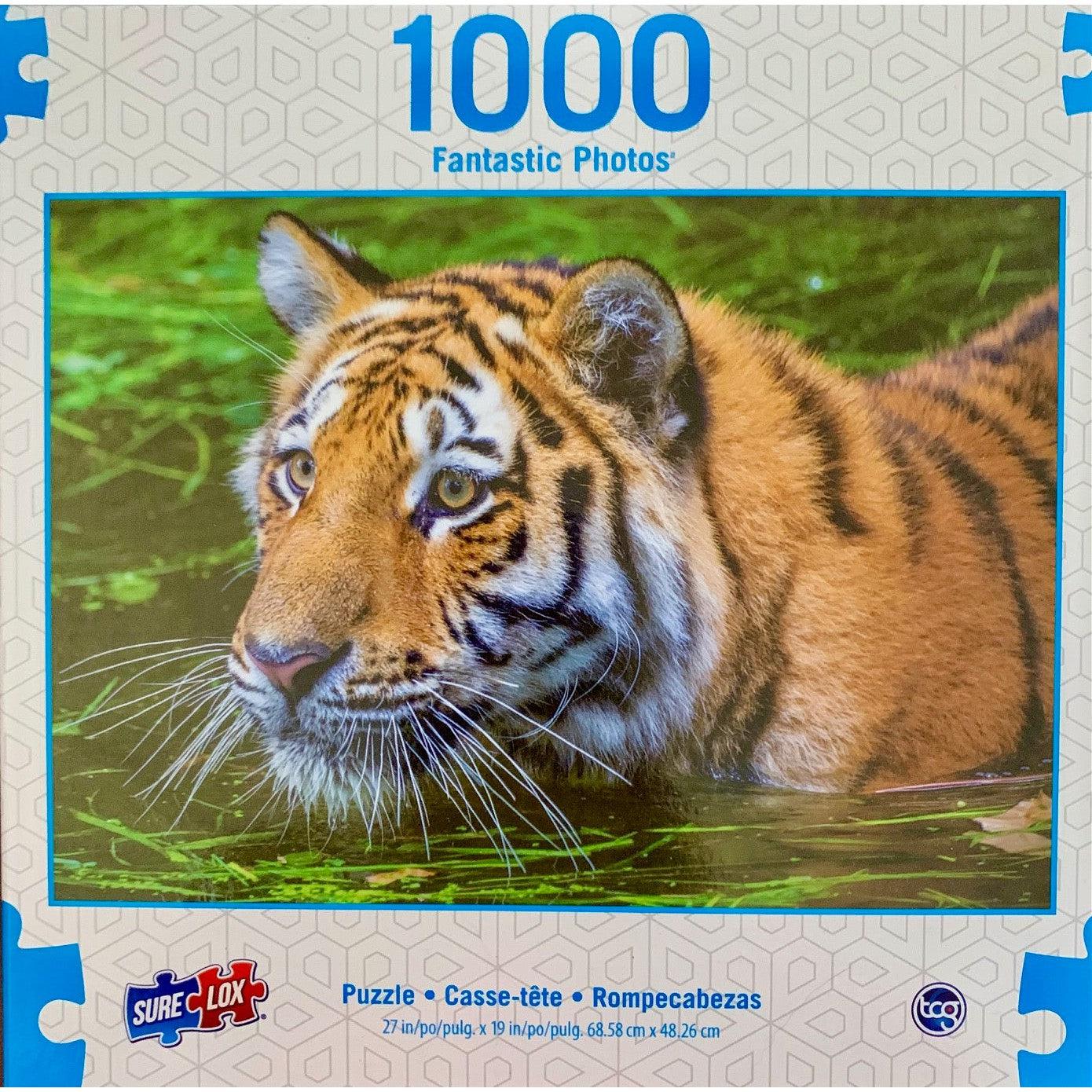 Tiger Whiskers Fantastic Photos 1000 Piece Jigsaw Puzzle Sure Lox Puzzle Merchant