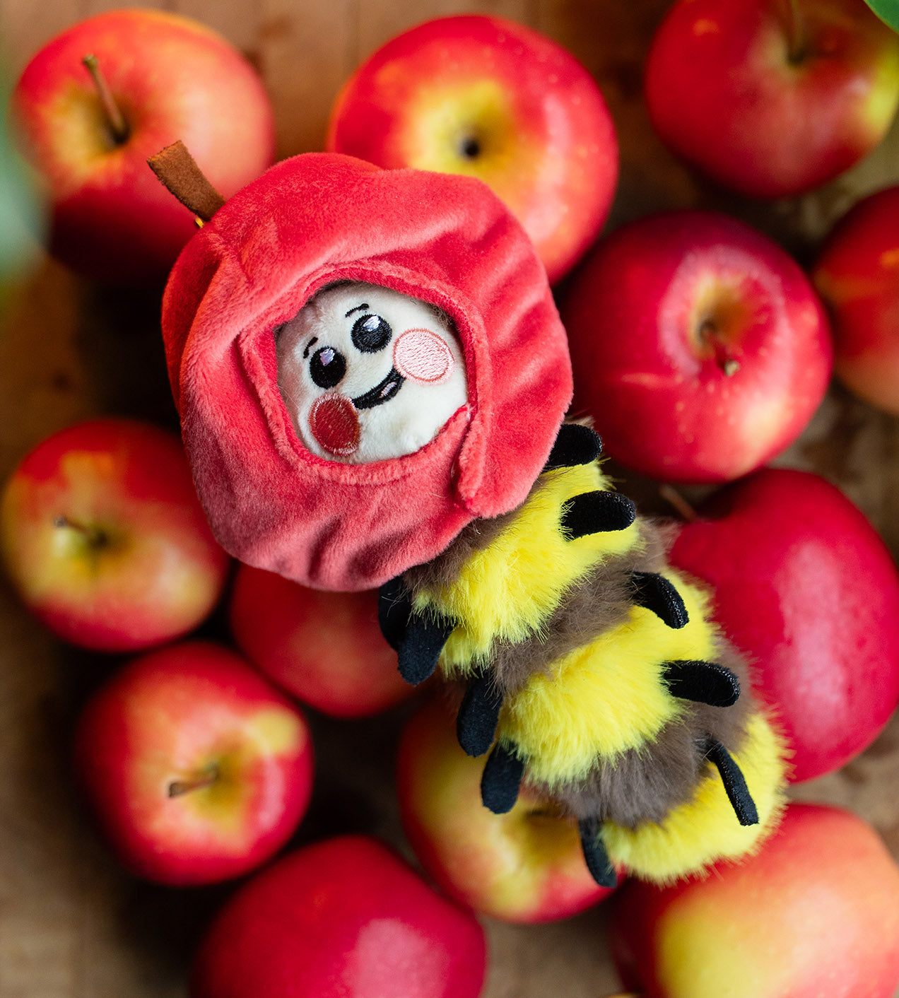 Kaleidos Creative: Wooly Bear and Friends Plush Keychain Blind Box Ralphie's Funhouse