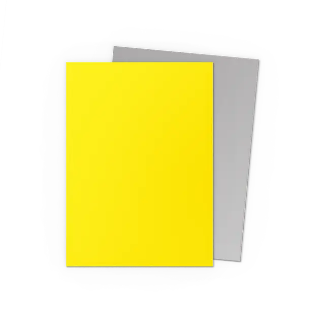 Dragon Shield: Yellow & Silver - Matte Dual Sleeves Moliner Games